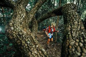 BIB: 
                            <button type="button" onclick="openModal(25392639)" class="btn btn-primary btn-sm float-right btn-popup" data-toggle="modal" data-target=".modal-high-quality">
                        <i class="fas fa-shopping-cart"></i> Add to Cart
                    </button>
                                            <button type="button" onclick="isThisMe(25392639, true)" class="btn btn-success btn-sm float-right btn-popup btn-isme hidden" data-toggle="tooltip" data-placement="bottom" title="นี่คือรูปของคุณใช่ไหม คลิกที่นี่เพื่อเอาเข้าอัลบั้ม">
                        <i class="fas fa-plus"></i> Add to album
                    </button>
                    <button type="button" onclick="isThisMe(25392639, false)" class="btn btn-warning btn-sm float-right btn-popup btn-isnotme hidden">
                        <i class="fas fa-ban"></i> Remove from album
                    </button>